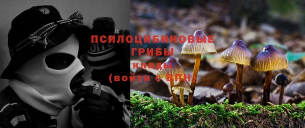 дживик Аркадак